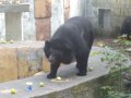 IMGP0817.JPG